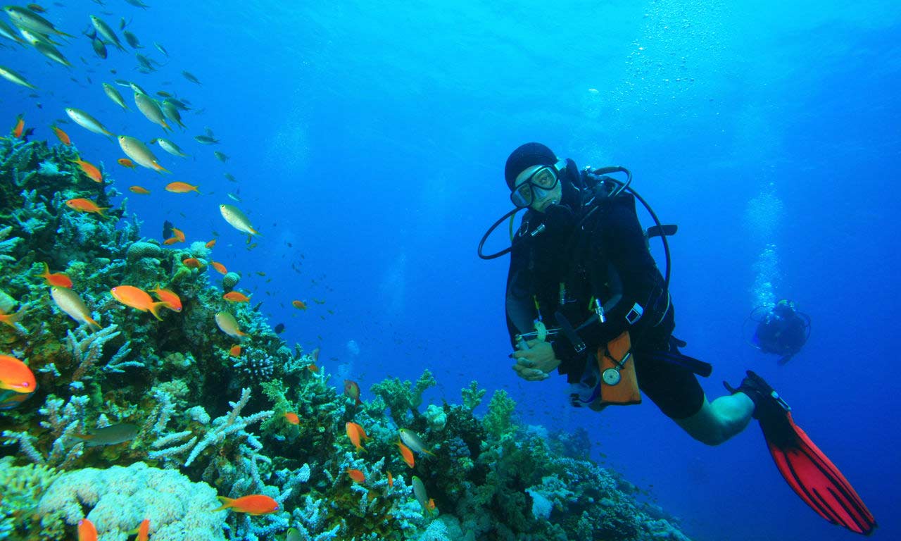 00934 Ägypten rotes meer urlaub sommer strandurlaub erholung tauchurlaub tauchen