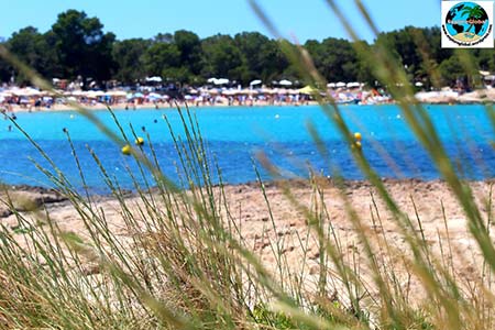 ibiza cala beach club bassa strand meer bucht 450